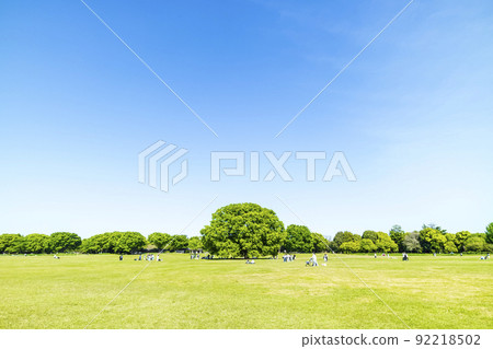 Landscape with green and blue sky 92218502
