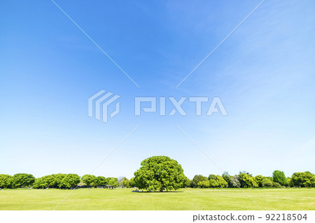 與綠色和藍天的風景 92218504