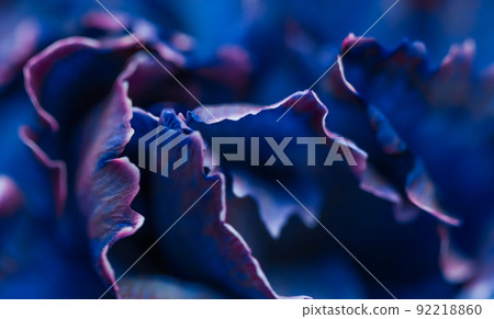 Retro art, vintage card and botanical concept - Abstract floral background, blue carnation flower. Macro flowers backdrop for holiday brand design Retro art, vintage card and botanical concept - Abstract floral background, blue carnation flower. Macro flowers backdrop for holiday brand design 92218860