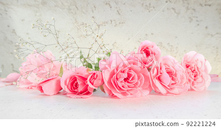 Pink roses and petals on white background. Perfect for background greeting cards and invitations of the wedding, birthday, Valentine's Day, Mother's Day. Pink roses and petals on white background. Perfect for background greeting cards and invitations of the wedding, birthday, Valentine's Day, Mother's Day. 92221224