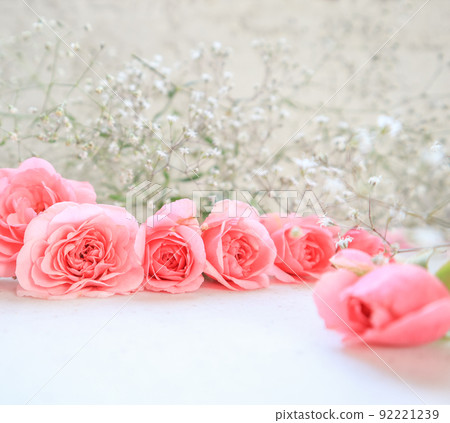 Pink roses on white background. Perfect for background greeting cards and invitations of the wedding, birthday, Valentine's Day, Mother's Day. Pink roses on white background. Perfect for background greeting cards and invitations of the wedding, birthday, Valentine's Day, Mother's Day. 92221239