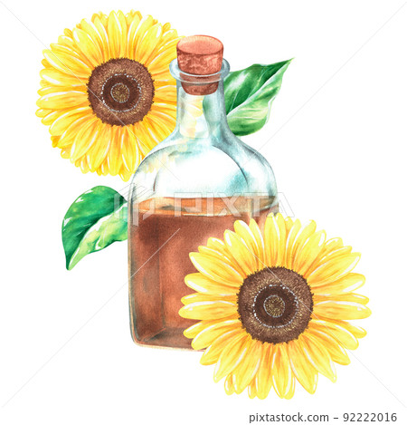 A bottle of oil with a sunflowers. Watercolor vintage illustration. Isolated on a white background. 92222016
