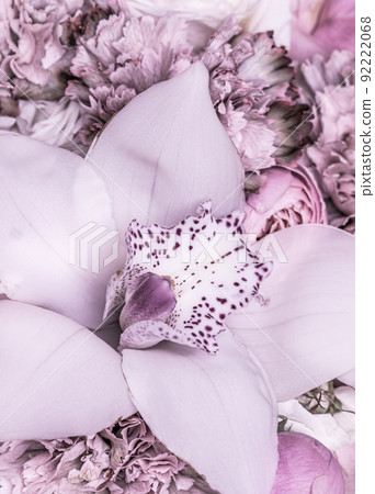White and violet orchid phalaenopsis flower fragment. Macro floral background. White and violet orchid phalaenopsis flower fragment. Macro floral background. 92222068