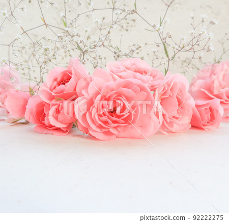 Pink roses on white background. Perfect for background greeting cards and invitations of the wedding, birthday, Valentine's Day, Mother's Day. Pink roses on white background. Perfect for background greeting cards and invitations of the wedding, birthday, Valentine's Day, Mother's Day. 92222275