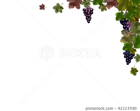 Grape frame - Stock Illustration [92223590] - PIXTA
