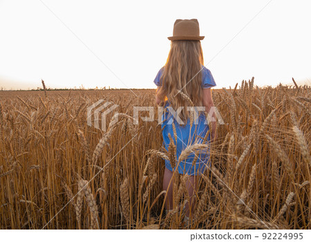 Adorable little girl in a straw hat, blue plaid summer dress in wheat field countryside.Child with long blonde wavy hair Adorable little girl in a straw hat, blue plaid summer dress in wheat field countryside.Child with long blonde wavy hair 92224995