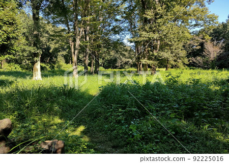 菅谷宮遺址、寬敞本閣遺址[埼玉縣嵐山町] 92225016