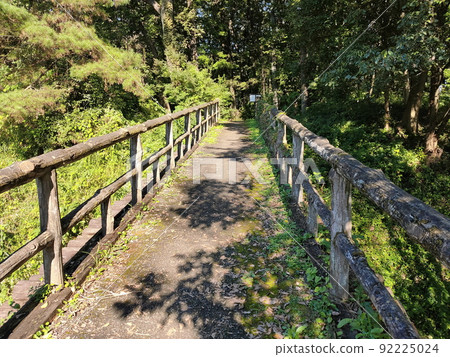 Reconstructed wooden bridges of Sugaya-yakata and Nishinokuru ruins [Arashiyama-cho, Saitama Prefecture] 92225024