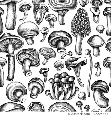 Seamless pattern with black and white oyster mushroom, champignon, honey agaric, etc. 92225344