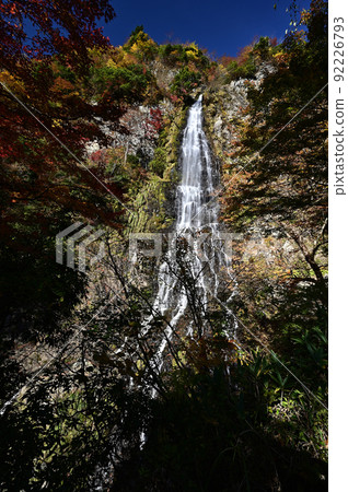 天燒和秋葉 92226793