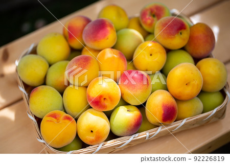 Minami Takane plum Minami Takane plum 92226819