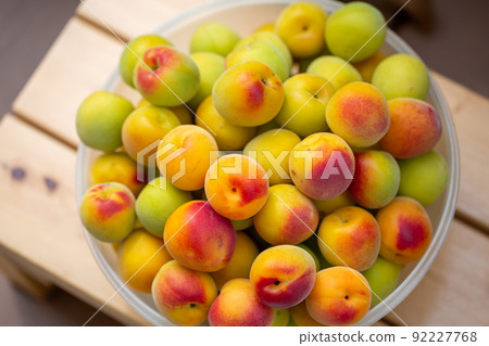 Minami Takane plum Minami Takane plum 92227768