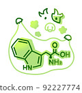 Essential amino acid tryptophan / tryptophan illustration 92227774