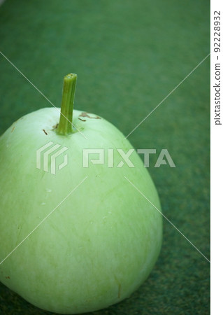 夏季蔬菜晚上臉 夏季蔬菜晚上臉 92228932