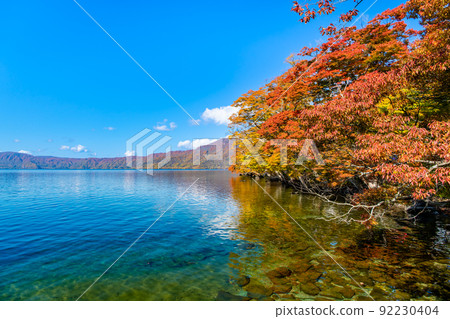 Lake Towada dyed with autumn leaves in Aomori Prefecture 92230404