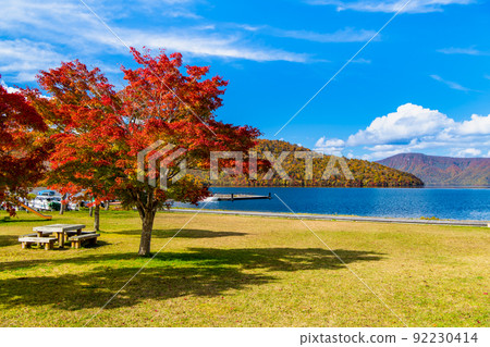 Lake Towada dyed with autumn leaves in Aomori Prefecture 92230414
