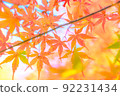 秋葉明信片材料 92231434
