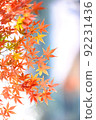 秋葉明信片材料 92231436