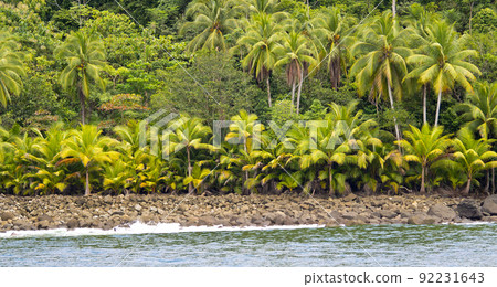 Seascape, Marino Ballena National Park, Costa Rica 92231643