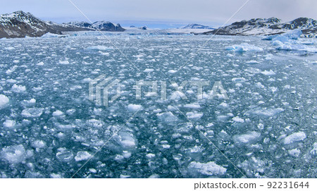 Drift floating Ice, Albert I Land, Norway 92231644