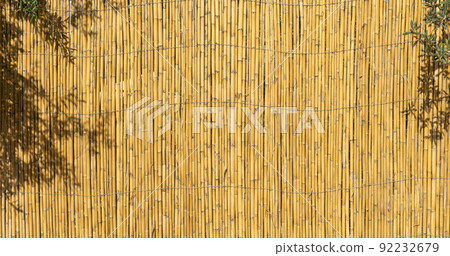 Bamboo background. Old bamboo fence Bamboo background. Old bamboo fence 92232679