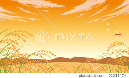 秋天的黃昏稻穗搖曳,蜻蜓在鄉間飛翔(16:9) 秋天的黃昏稻穗搖曳,蜻蜓在鄉間飛翔(16:9) 92235474