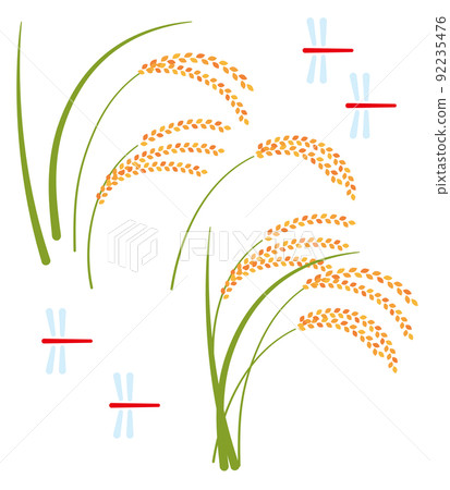 Rice ear and red dragonfly - Stock Illustration [92235476] - PIXTA