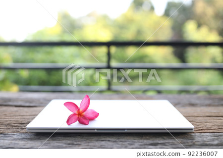 Frangipani flower with laptop on wooden table at balcony 92236007