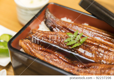 鰻魚形象 92237206