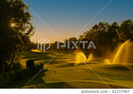 Watering grass in golf course at sunset . Golf field with pines Watering grass in golf course at sunset . Golf field with pines 92237967