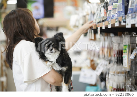 Owners choosing products at pet stores and their hugged black and tan long coat Chihuahuas 92238060