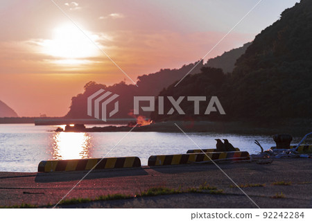 鳥兒在海上觀看日落 92242284