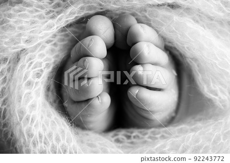 Soft feet of a newborn in a woolen blanket Close-up of toes, heels and feet of a baby.The tiny foot of a newborn. Baby feet covered with isolated background. Black and white studio macro photography 92243772