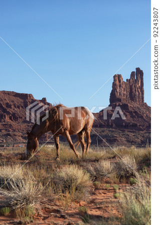Wild Brown Horse in the desert with Red Rock Mountain Landscape in Background Wild Brown Horse in the desert with Red Rock Mountain Landscape in Background 92243807