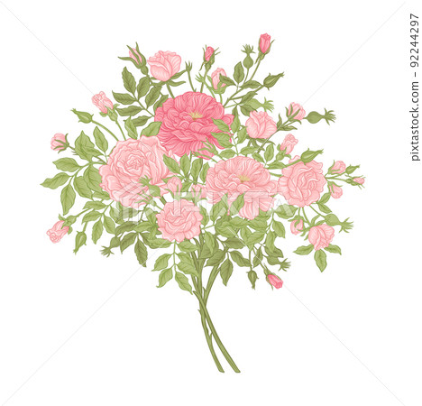 Roses flowers on branches. Millefleurs trendy floral design 92244297