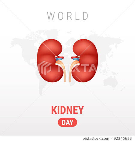 World Kidney day on white background 92245632