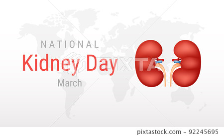 World Kidney day on white background 92245695