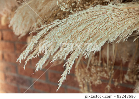 Macro photography of flowers and plants, yellow ears of rye and wheat on a white background, dried flowers for home decor, 8 march, selective focus. Macro photography of flowers and plants, yellow ears of rye and wheat on a white background, dried flowers for home decor, 8 march, selective focus. 92248686