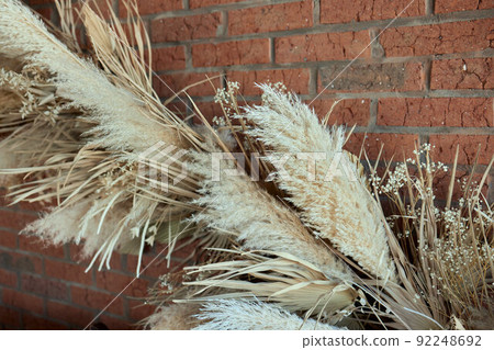 Macro photography of flowers and plants, yellow ears of rye and wheat on a white background, dried flowers for home decor, 8 march, selective focus. Macro photography of flowers and plants, yellow ears of rye and wheat on a white background, dried flowers for home decor, 8 march, selective focus. 92248692