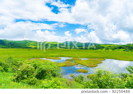 夏天在天空中升起的沼澤，八島原沼澤[長野縣] 92250489