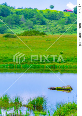 夏天在天空中升起的沼澤，八島原沼澤[長野縣] 92252017