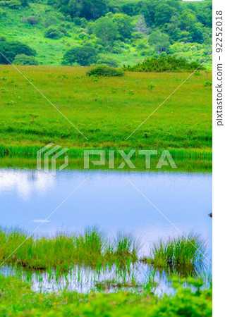 夏天在天空中升起的沼澤，八島原沼澤[長野縣] 92252018