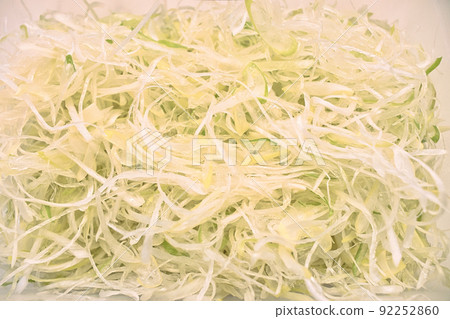 白小麥蔥 白小麥蔥 92252860