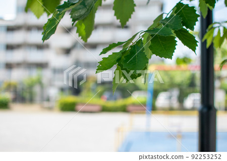 金町第一公園/東京葛飾區 金町第一公園/東京葛飾區 92253252