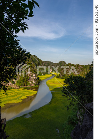 Yellow rice field on Ngo Dong river in Tam Coc Bich Dong from mountain top view in Ninh Binh, Viet Nam 92253340