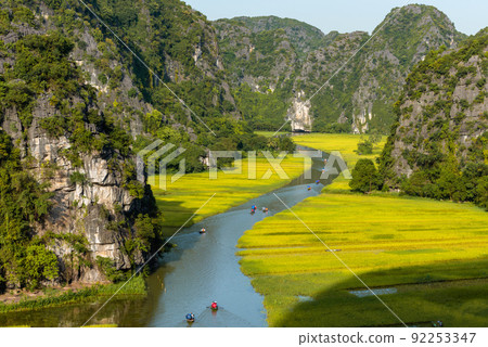 Yellow rice field on Ngo Dong river in Tam Coc Bich Dong from mountain top view in Ninh Binh, Viet Nam Yellow rice field on Ngo Dong river in Tam Coc Bich Dong from mountain top view in Ninh Binh, Viet Nam 92253347