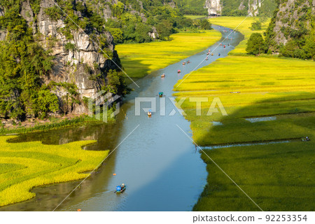 Yellow rice field on Ngo Dong river in Tam Coc Bich Dong from mountain top view in Ninh Binh, Viet Nam Yellow rice field on Ngo Dong river in Tam Coc Bich Dong from mountain top view in Ninh Binh, Viet Nam 92253354