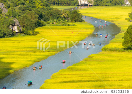 Yellow rice field on Ngo Dong river in Tam Coc Bich Dong from mountain top view in Ninh Binh, Viet Nam Yellow rice field on Ngo Dong river in Tam Coc Bich Dong from mountain top view in Ninh Binh, Viet Nam 92253356