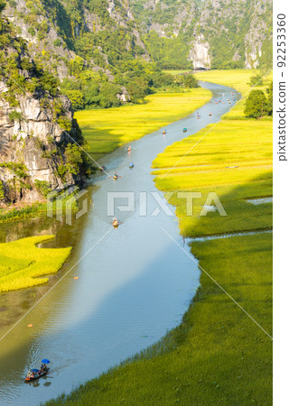 Yellow rice field on Ngo Dong river in Tam Coc Bich Dong from mountain top view in Ninh Binh, Viet Nam Yellow rice field on Ngo Dong river in Tam Coc Bich Dong from mountain top view in Ninh Binh, Viet Nam 92253360