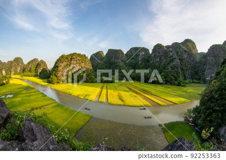 Yellow rice field on Ngo Dong river in Tam Coc Bich Dong from mountain top view in Ninh Binh, Viet Nam 92253363